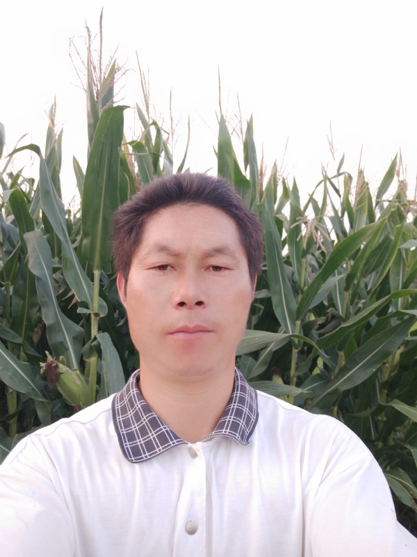 四海游龙的第一张照片--厦门相亲网