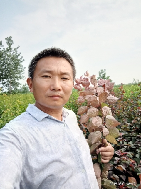 孩子爸的第一张照片--厦门相亲网