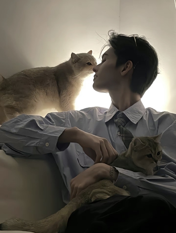 怪猫的第一张照片--厦门相亲网