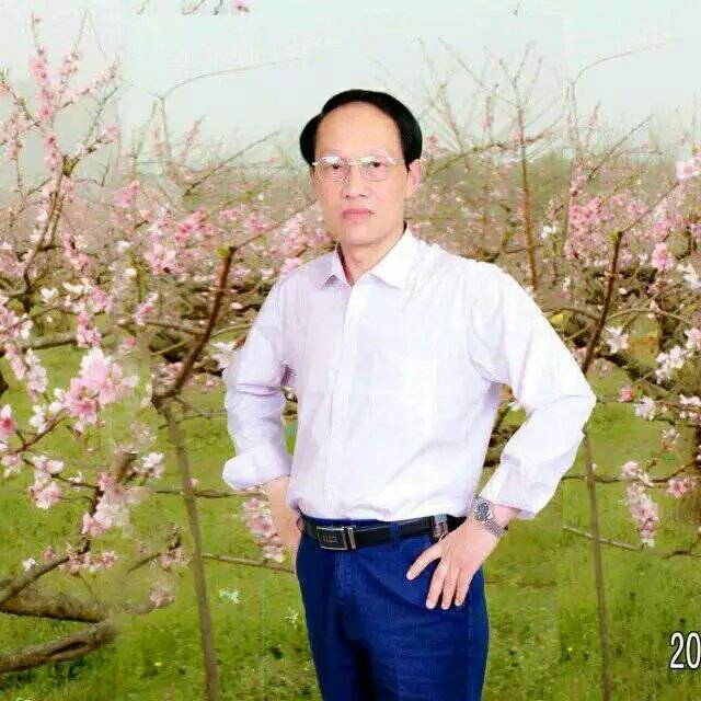 枫叶的第一张照片--厦门相亲网